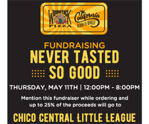 Woodstock's Pizza Fundraiser!